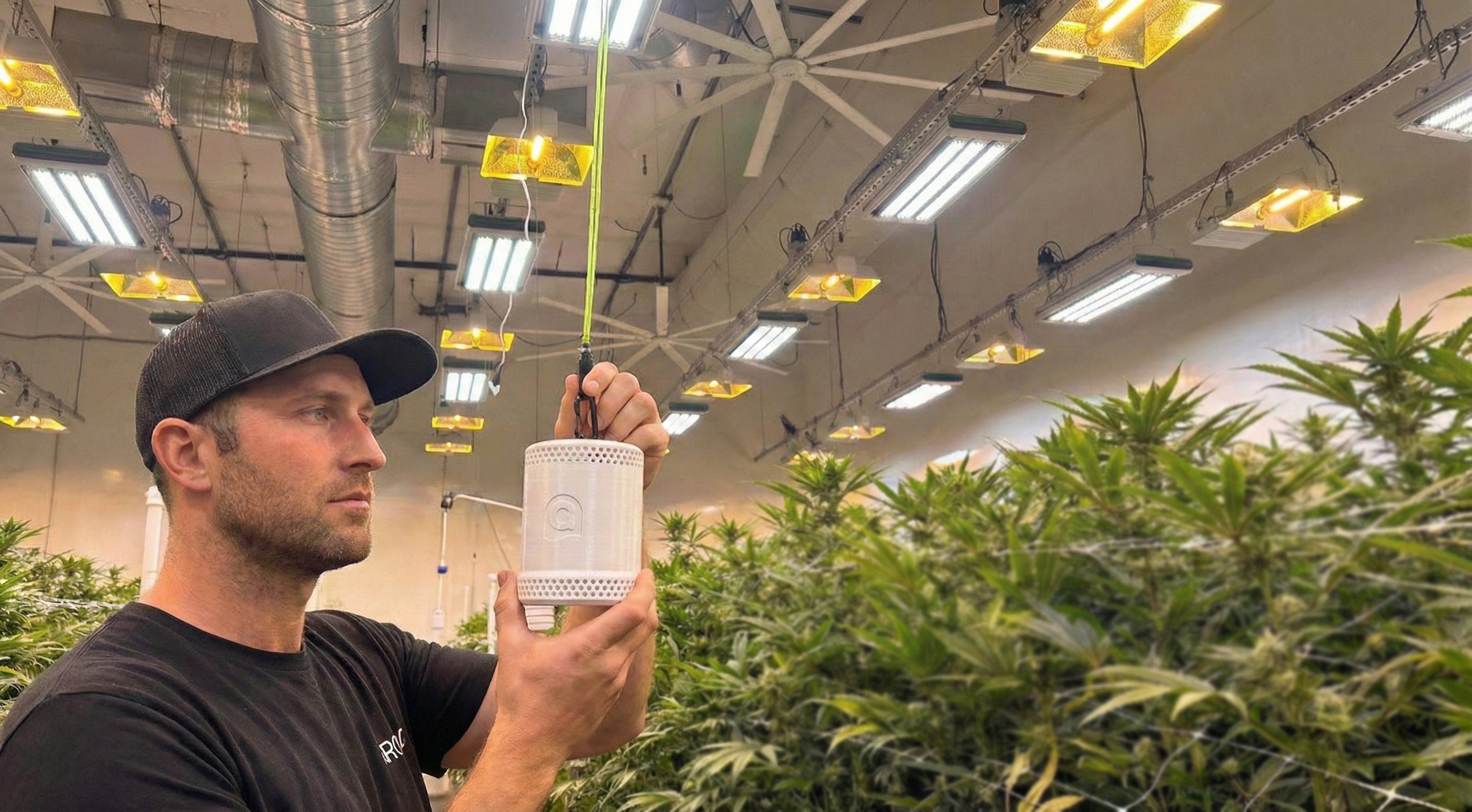 A man in a grow room holding the grow sensor pro