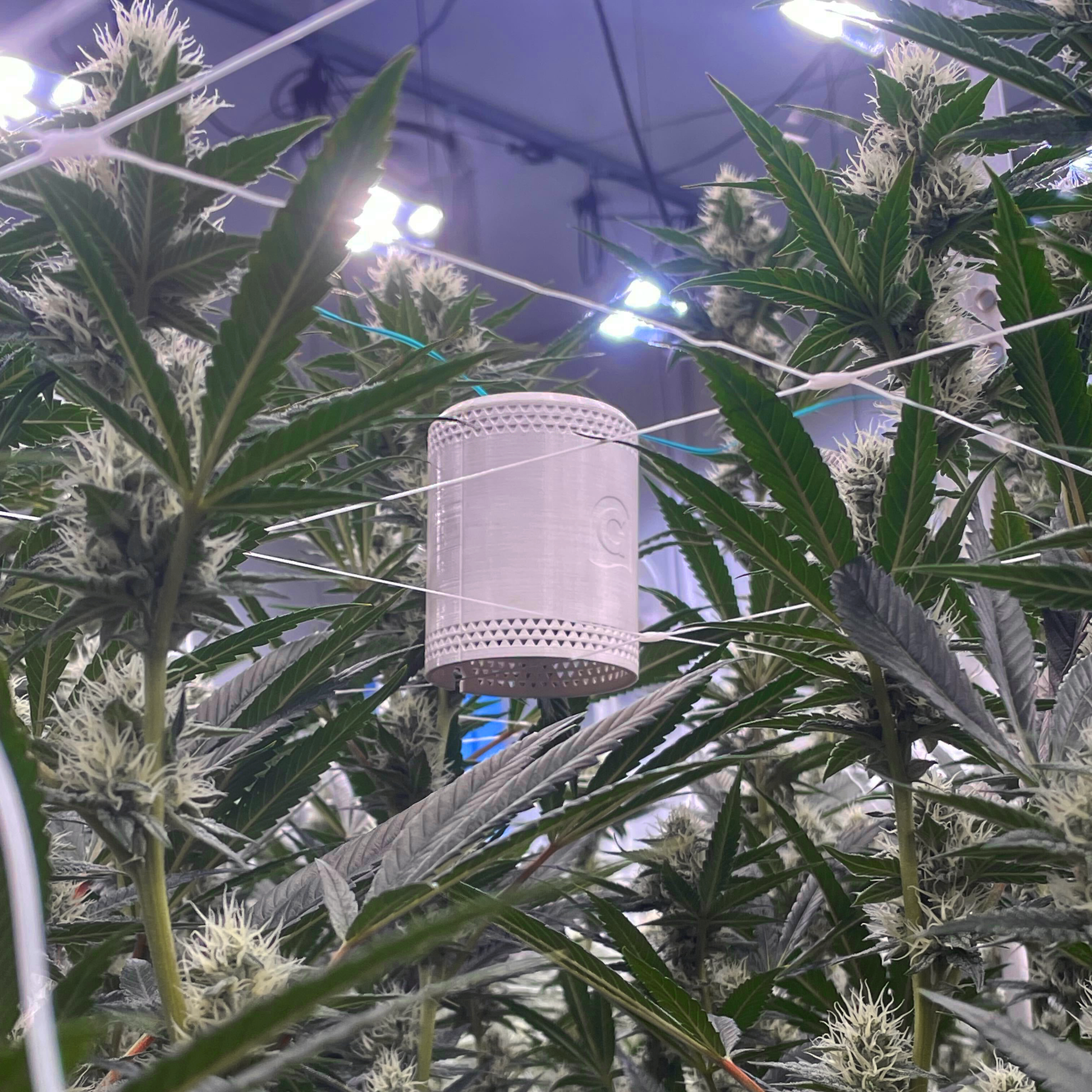 Precision grow room environment monitoring with the Grow Sensor